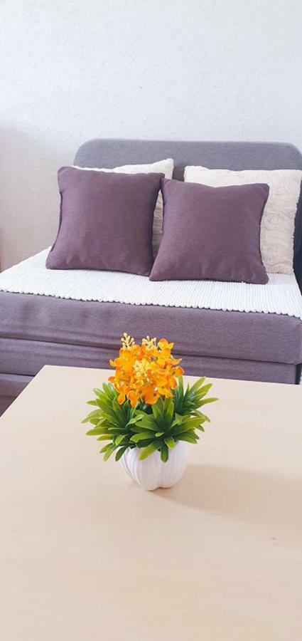 Apartments Four Countesses ヴィルパザル エクステリア 写真